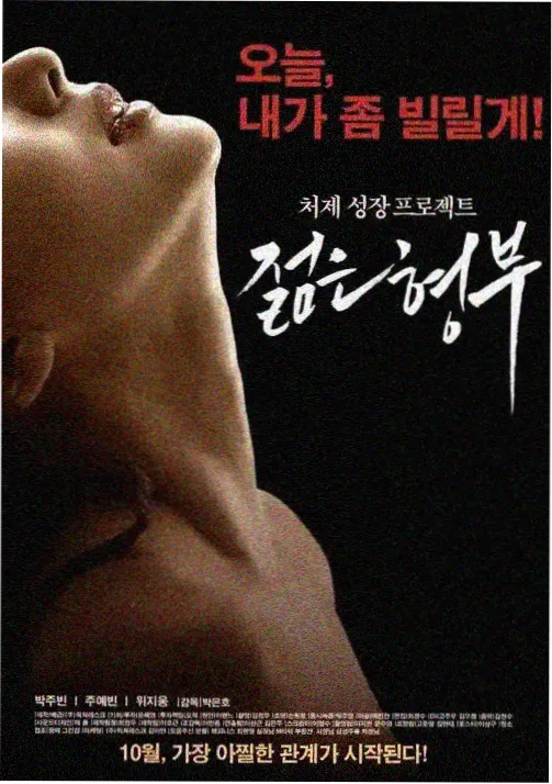 韩国高分剧集《长夜将尽》海报
